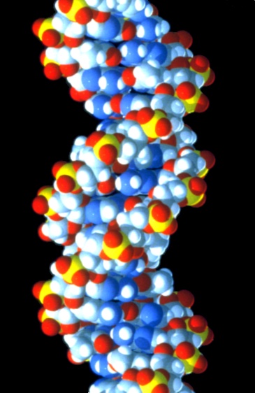 Biologie 1 und 2 - PHZH SEK 1 Modul NTFW3